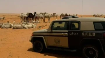 مخالفة رعي جائر تتسبب بضبط مواطن داخل محمية الإمام تركي الملكية